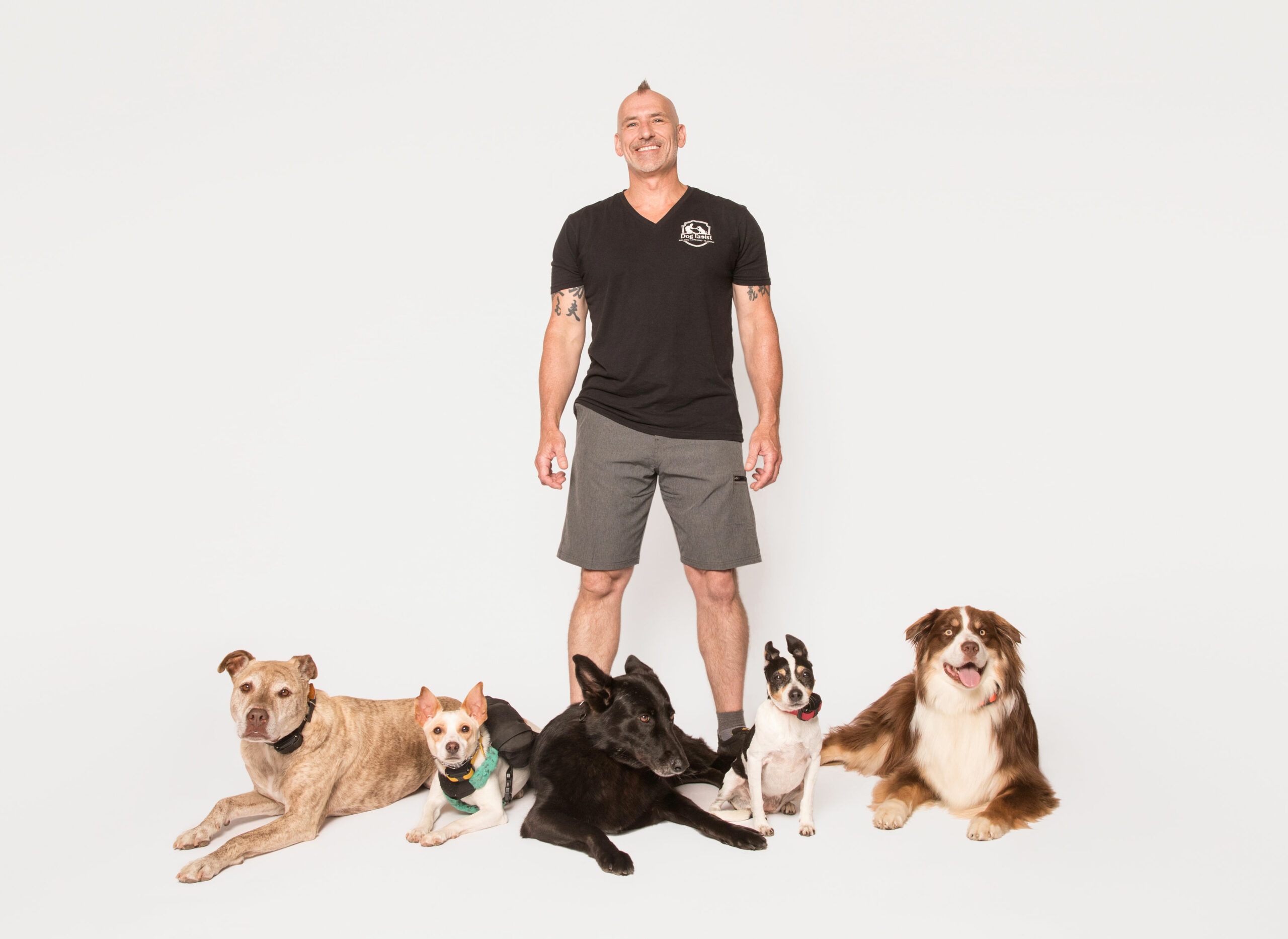 Dog Taoist Home Page Image